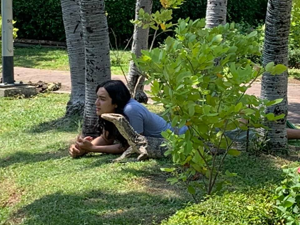 เพื่อนใหม่ของ "แน็ก ชาลี" ภาพน่าเอ็นดูนอนคุยกับ "เจ้าบุญช่วย" ตัวเงินตัวทองอย่างสนิท