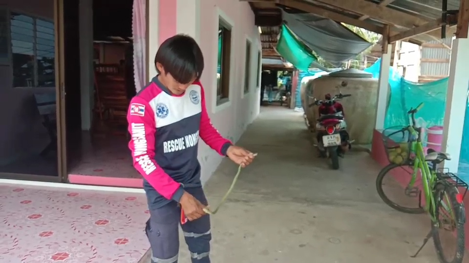 แห่ตีเลขเด็ด งูเขียว 3 ตัว ซุกตัวบนคาน เจ้าของบ้านอายุตรงกับเลขที่บ้านพอดีเป๊ะ แห่ตีเลขเด็ด งูเขียว 3 ตัว ซุกตัวบนคาน เจ้าของบ้านอายุตรงกับเลขที่บ้านพอดีเป๊ะ