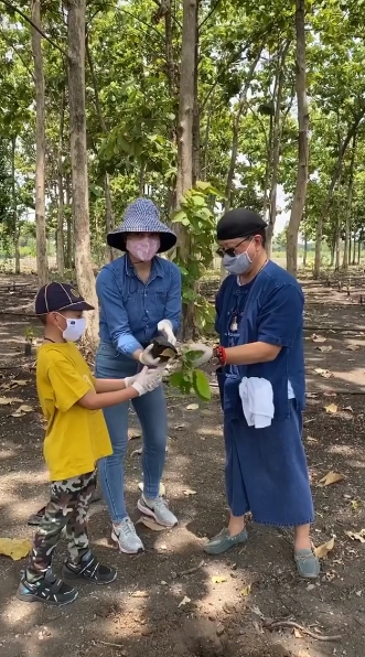 พ่อแม่ลูกช่วยกันปลูกต้นโกโก้