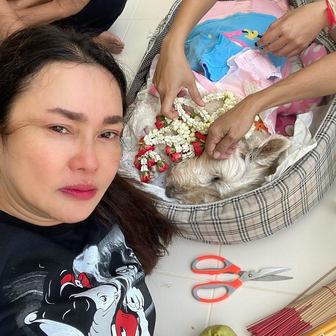"ใหม่ เจริญปุระ" เปิดคลิป ความผูกพัน "ไอแลนด์" 16 ปี "แม่จะดูแลให้ดีที่สุด...จนถึงวันสุดท้าย" "ใหม่ เจริญปุระ" เปิดคลิป ความผูกพัน "ไอแลนด์" 16 ปี "แม่จะดูแลให้ดีที่สุด...จนถึงวันสุดท้าย"