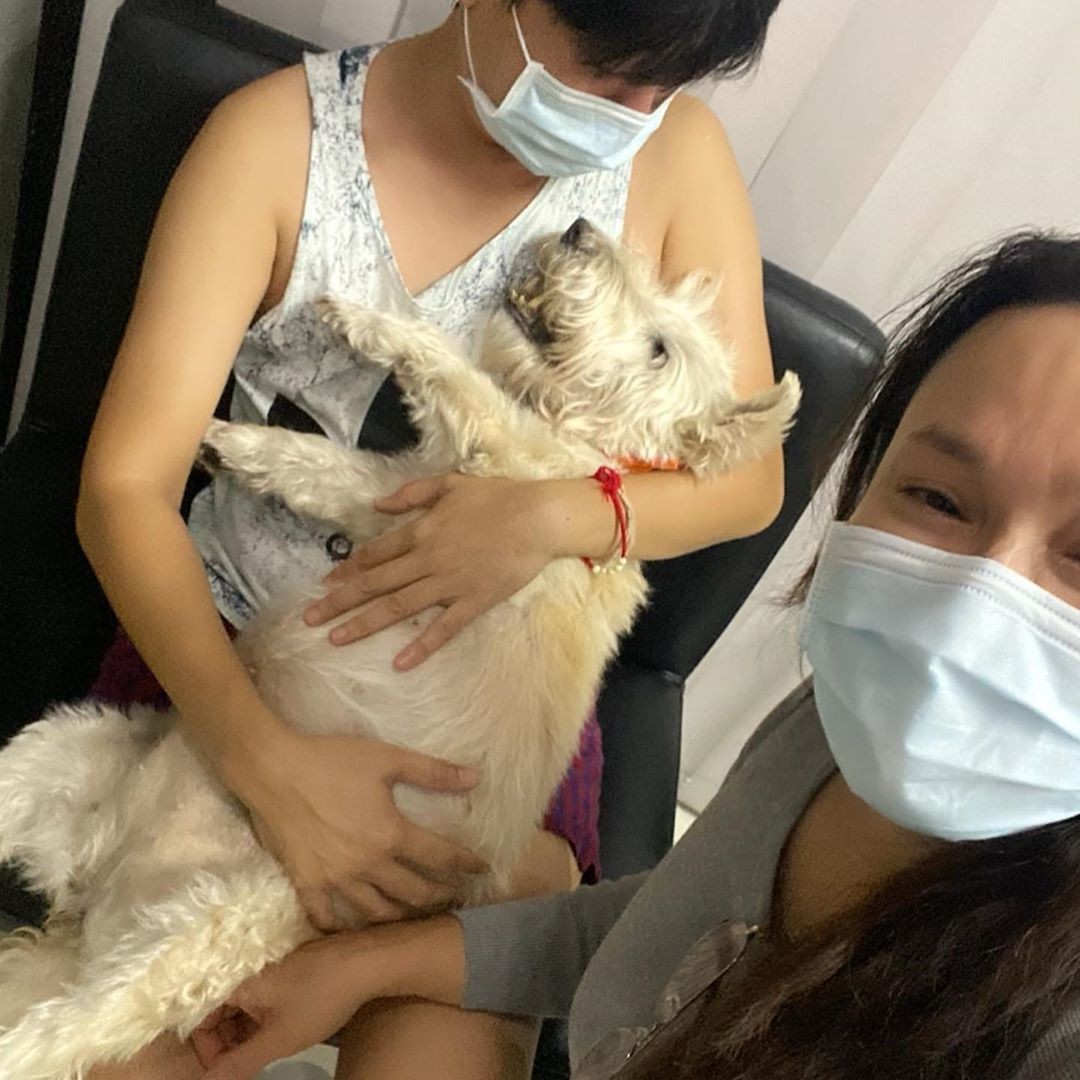 "ใหม่ เจริญปุระ" เปิดคลิป ความผูกพัน "ไอแลนด์" 16 ปี "แม่จะดูแลให้ดีที่สุด...จนถึงวันสุดท้าย" "ใหม่ เจริญปุระ" เปิดคลิป ความผูกพัน "ไอแลนด์" 16 ปี "แม่จะดูแลให้ดีที่สุด...จนถึงวันสุดท้าย"