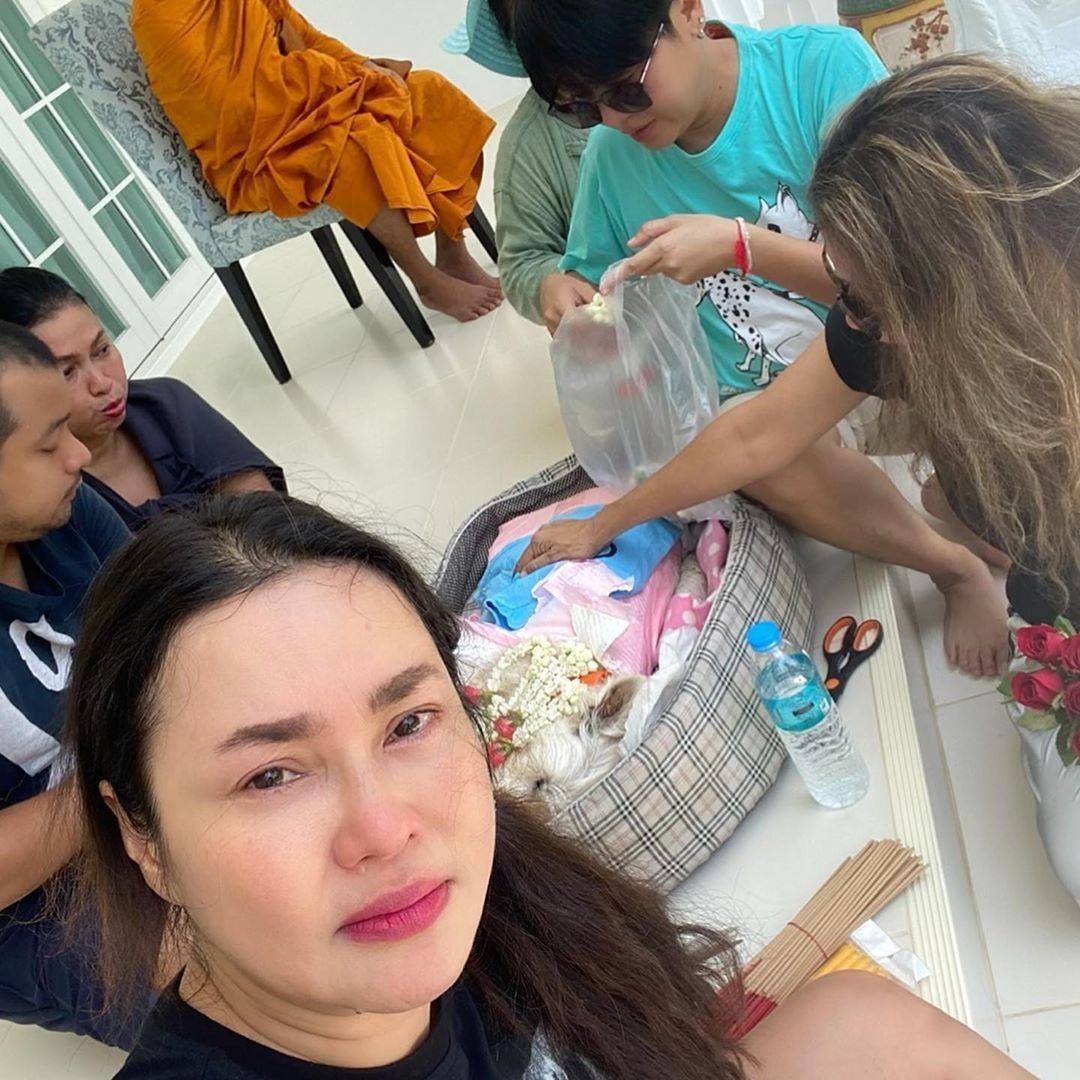 "ใหม่ เจริญปุระ" เปิดคลิป ความผูกพัน "ไอแลนด์" 16 ปี "แม่จะดูแลให้ดีที่สุด...จนถึงวันสุดท้าย" "ใหม่ เจริญปุระ" เปิดคลิป ความผูกพัน "ไอแลนด์" 16 ปี "แม่จะดูแลให้ดีที่สุด...จนถึงวันสุดท้าย"